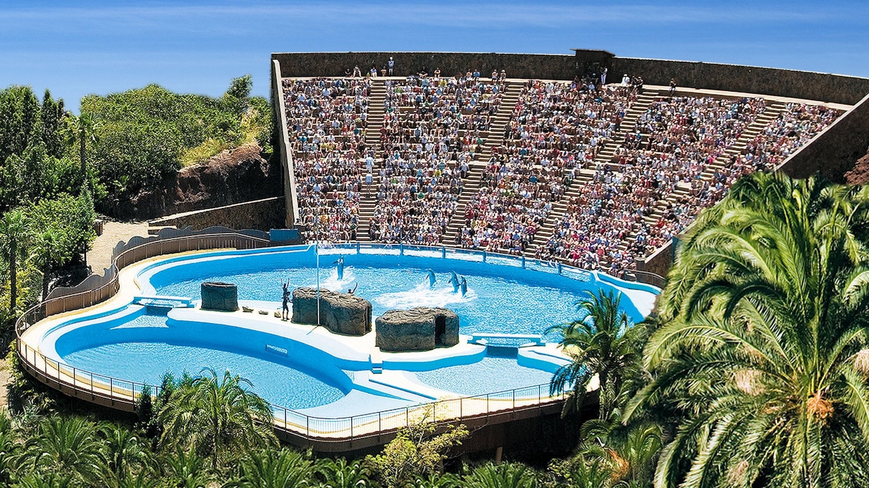 Dolphin show at Palmitos Park zoo amphitheater, Spain, with audience watching.