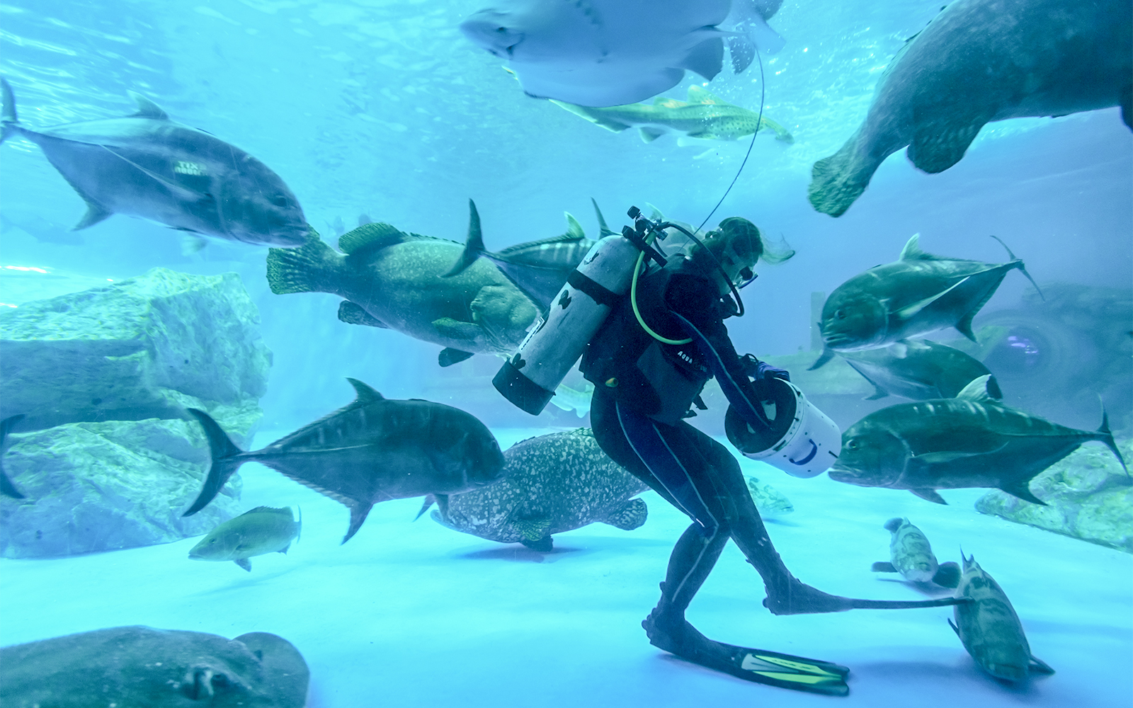 Walk on the ocean floor at Aquatrek Xtreme