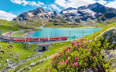 Train on Lucerne-Interlaken Express route by Lake Sarnen, Central Switzerland, with mountain backdrop.