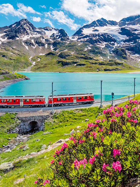 Train on Lucerne-Interlaken Express route by Lake Sarnen, Central Switzerland, with mountain backdrop.