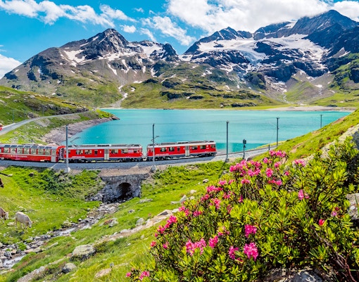 Bernina Express passing by Bernina Pass filled with yellowish-greenish spring leaves.