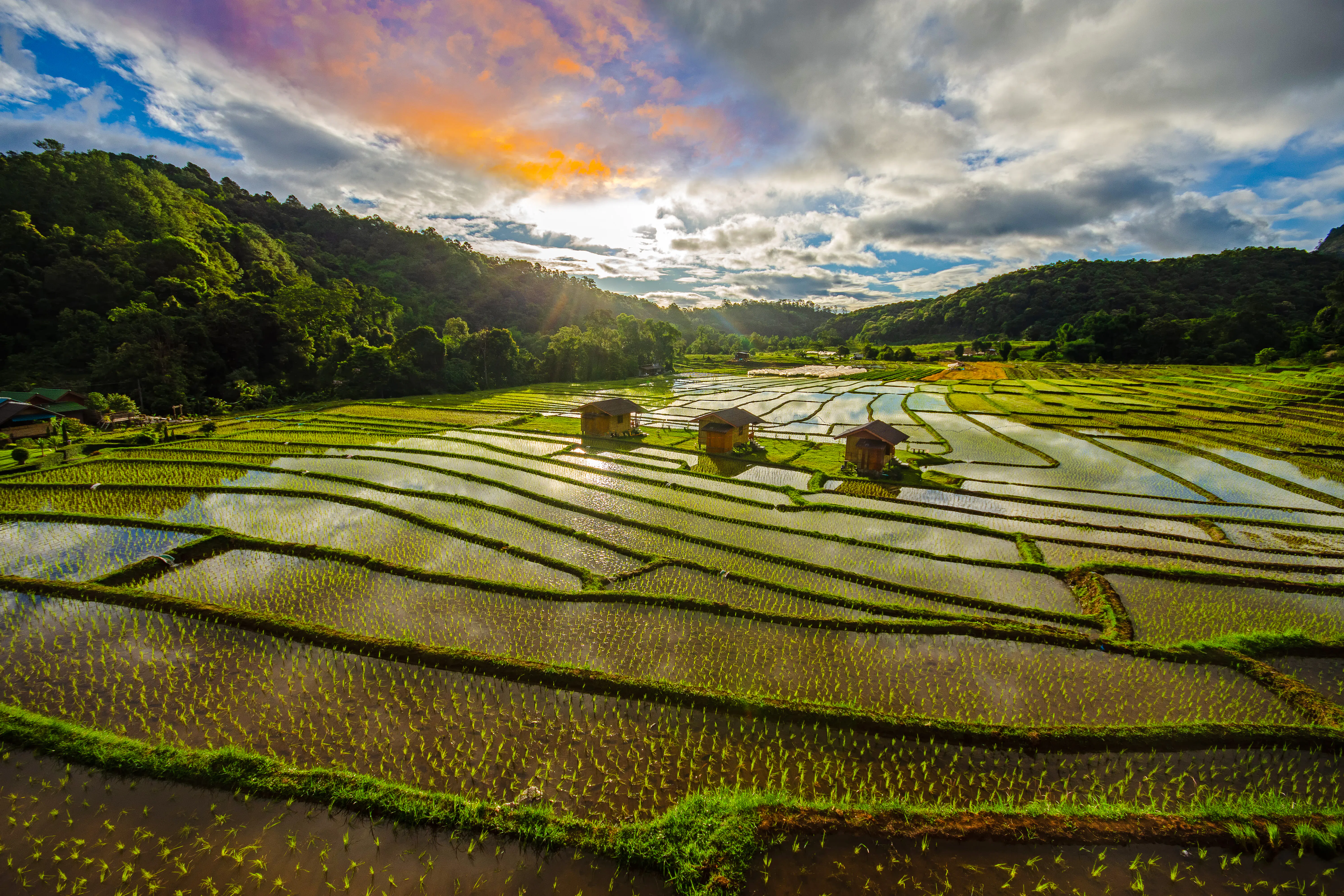 from chiang mai: doi inthanon national park tour-6