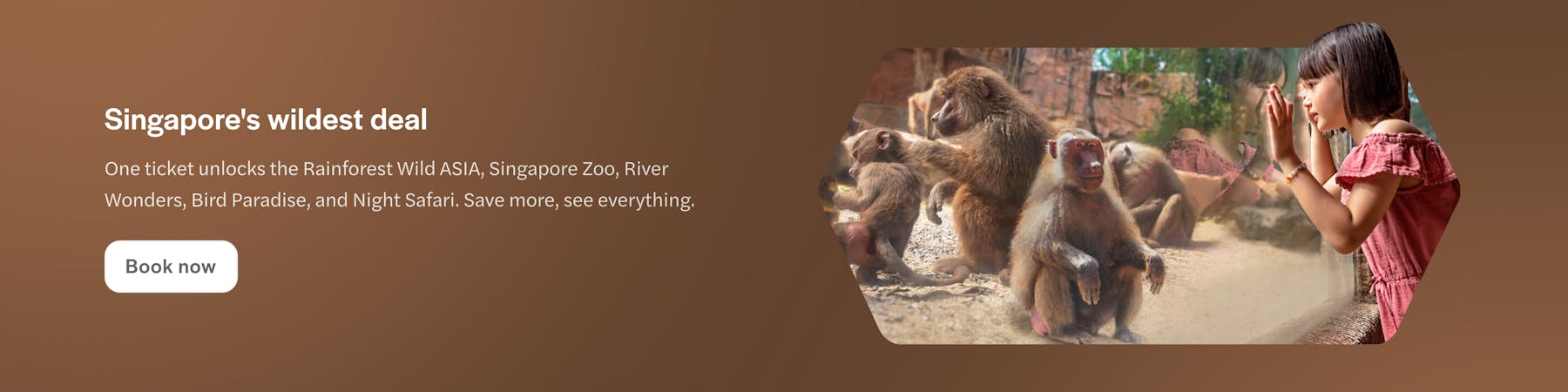 Girl observing baboons at Mandai Wildlife Reserve, Singapore.