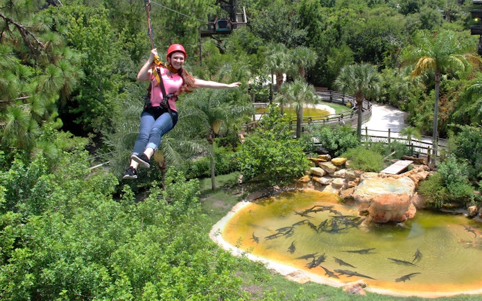 Ziplining over alligator pond at Gatorland, surrounded by lush greenery.