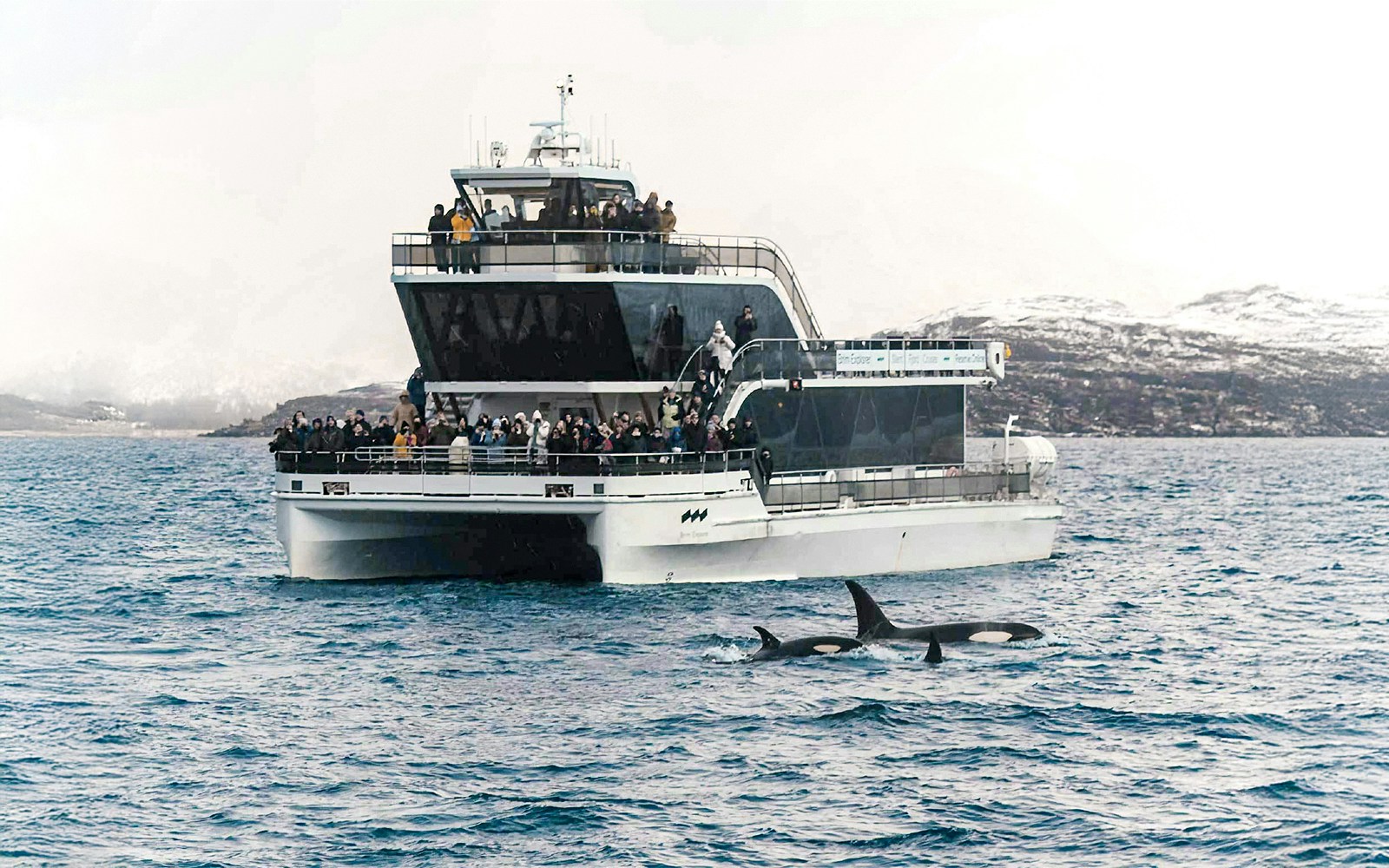 Tourists on deck during Tromso Silent Whale Watching by Hybrid-Electric Cruise, observing whales in the distance