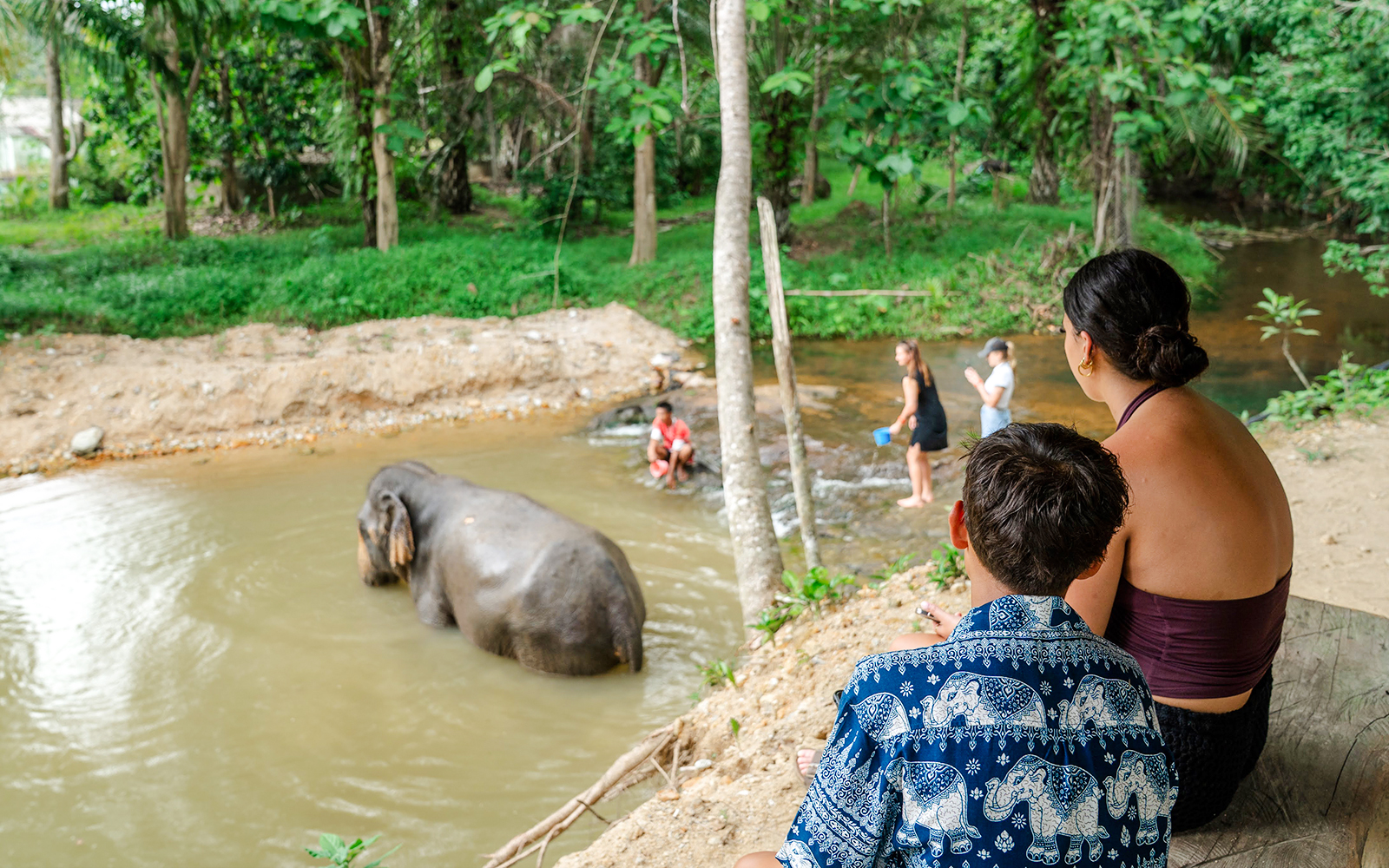People watching elephants bathe at Khaolak Ethical Elephant Sanctuary.