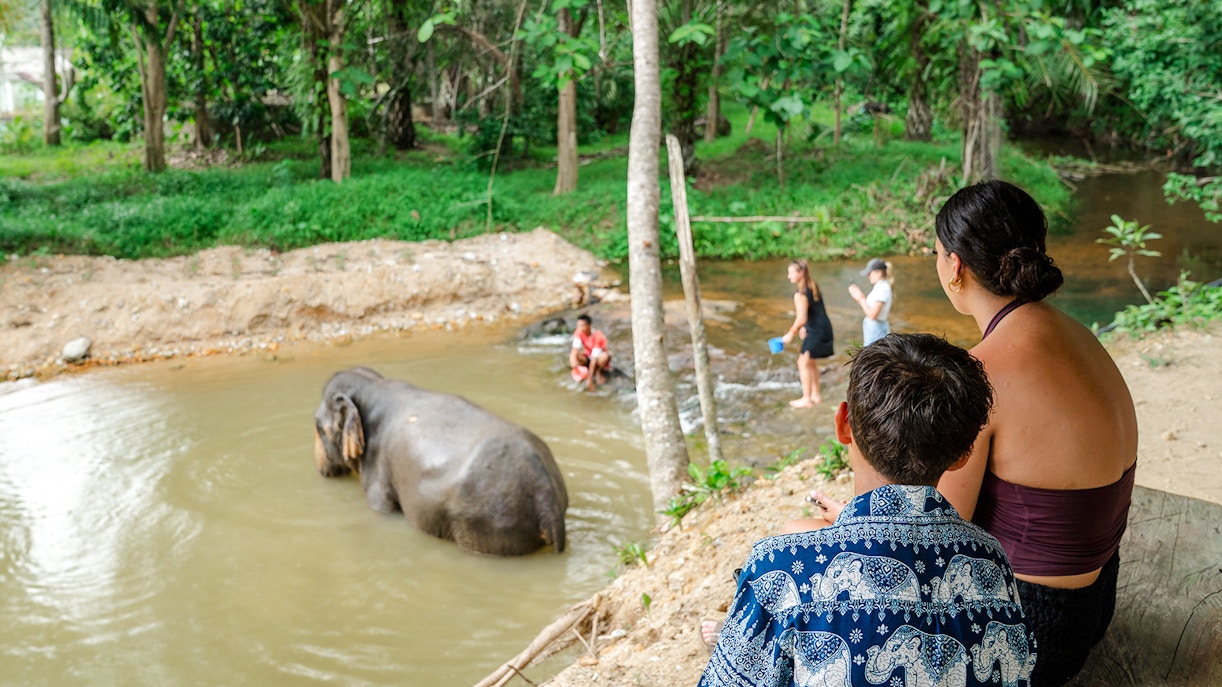 People watching elephants bathe at Khaolak Ethical Elephant Sanctuary.