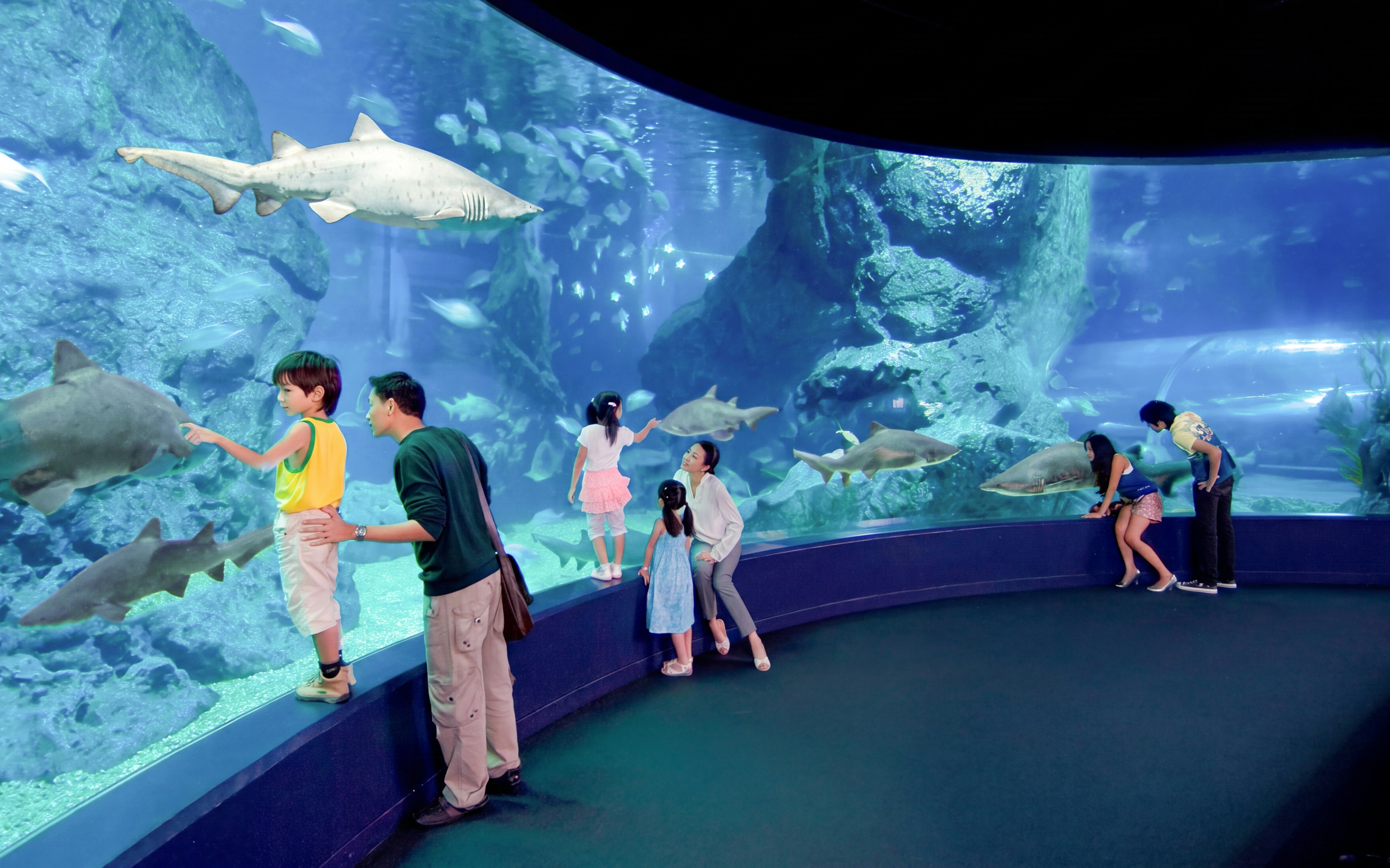 Visitors observing sharks at SEA LIFE Bangkok aquarium.