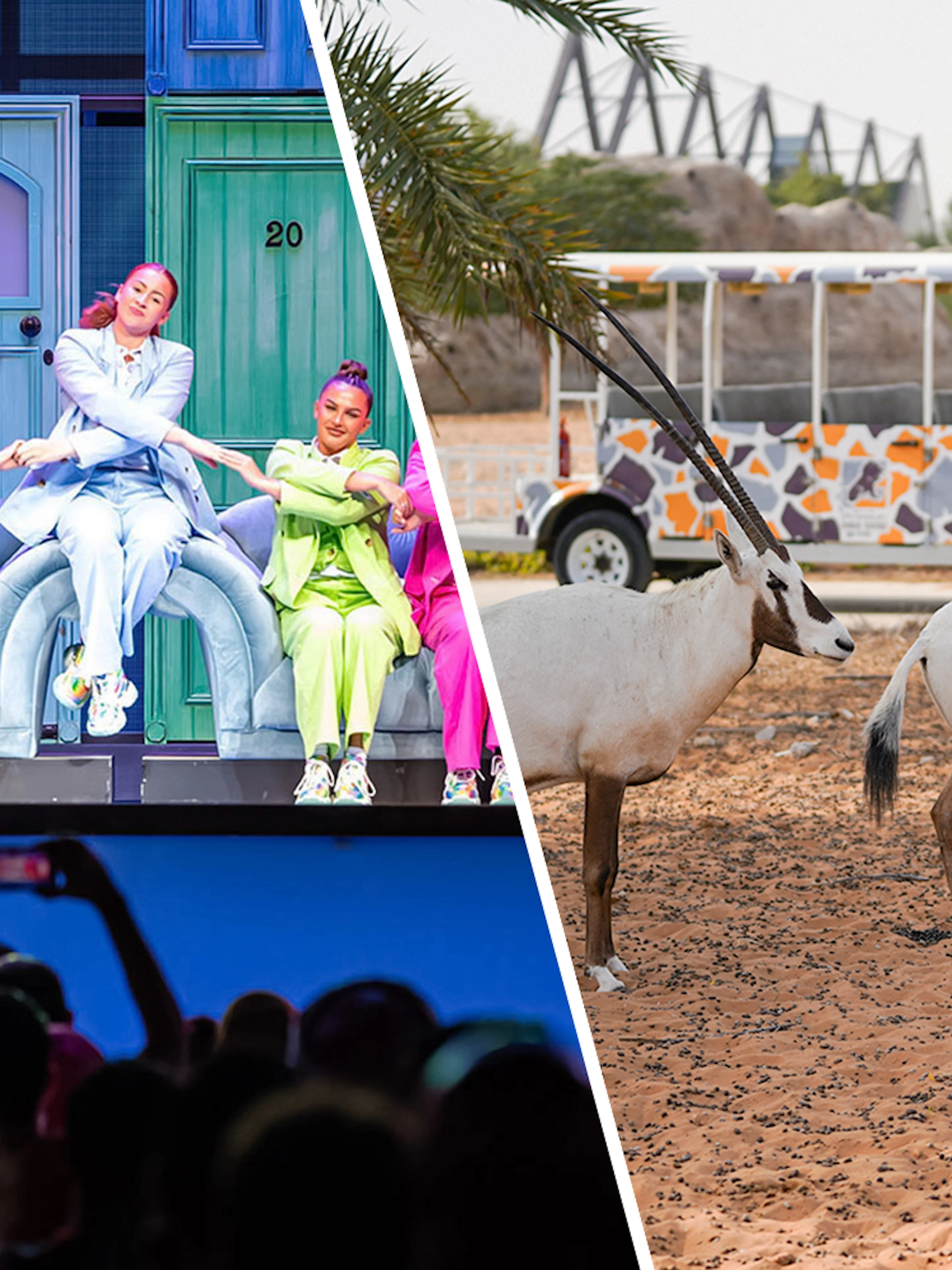 Performers in colorful outfits at Global Village Dubai and oryx near a safari tram at Dubai Safari Park.