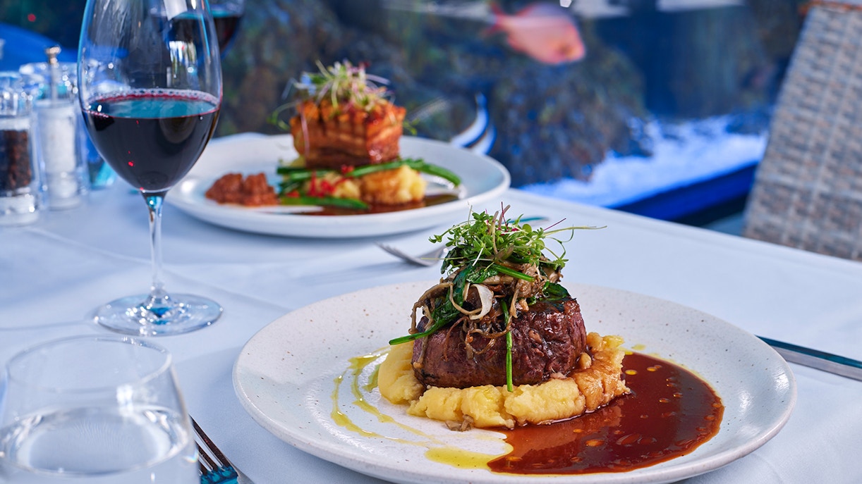 Cairns Aquarium twilight dining experience with guests enjoying a 3-course meal.
