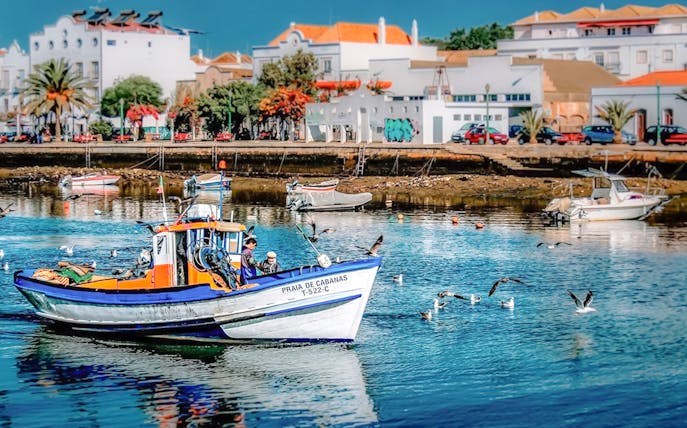 Fishing boat in Cabanas de Tavira harbor, Eastern Algarve, with seagulls and waterfront buildings.