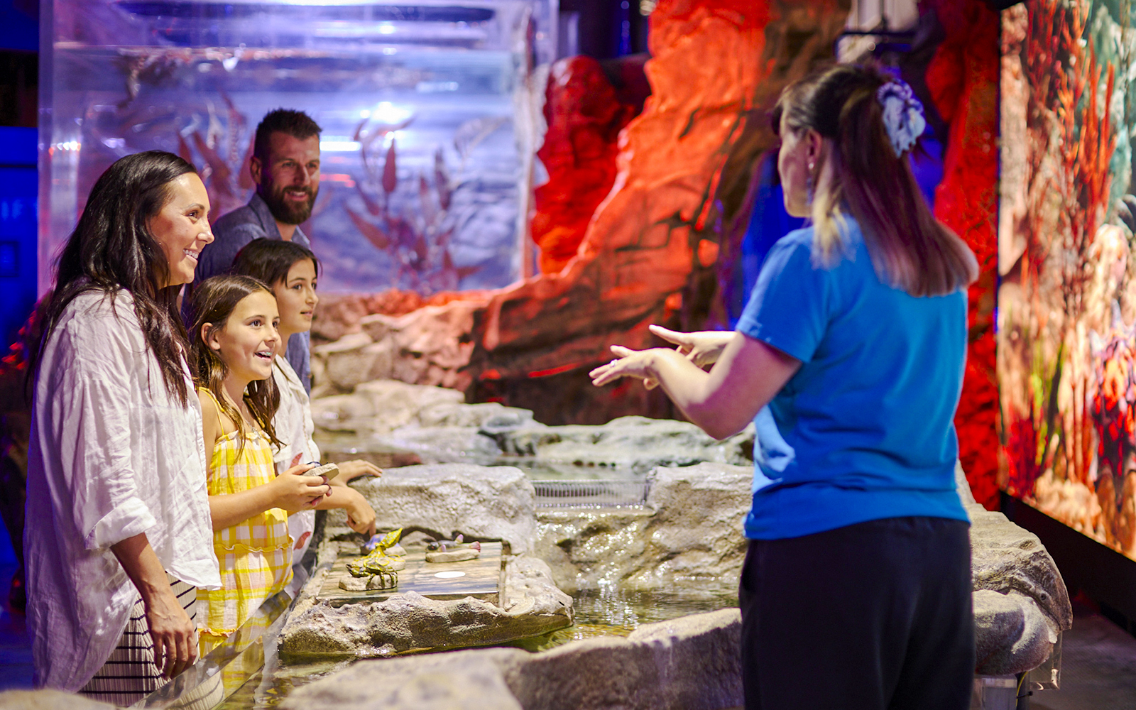 Family exploring the Rocky Shores exhibit at Sea Life Melbourne.