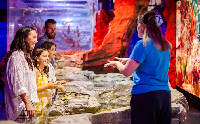 Family exploring the Rocky Shores exhibit at Sea Life Melbourne.