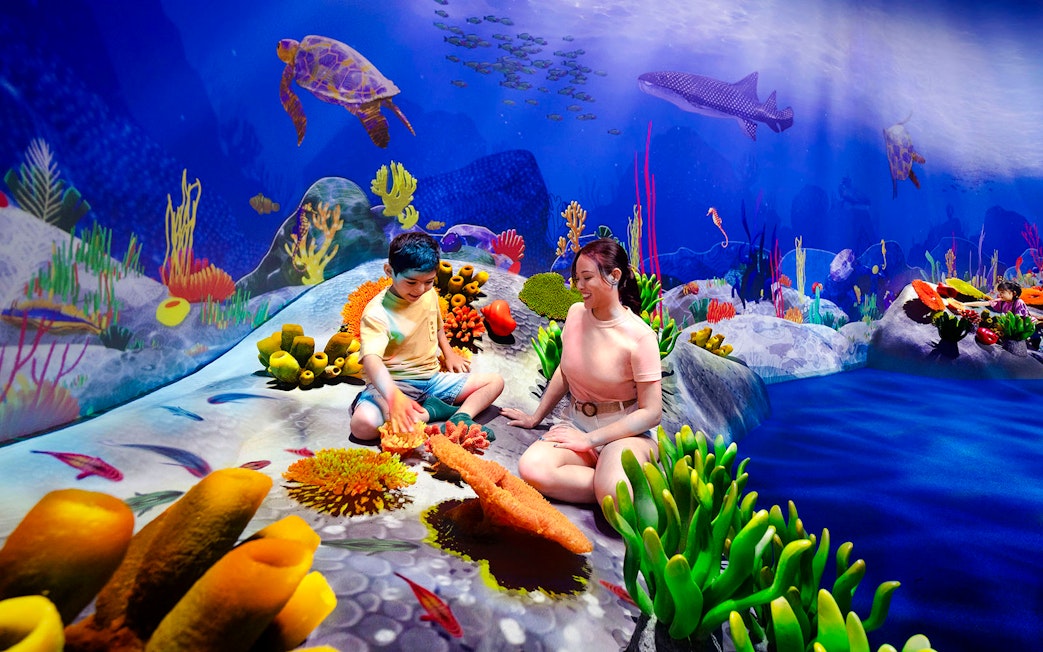 Children exploring vibrant coral reef at Curiosity Cove Wetlands Reef Retreat.