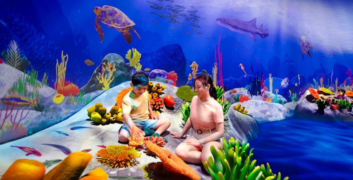 Children exploring vibrant coral reef at Curiosity Cove Wetlands Reef Retreat.