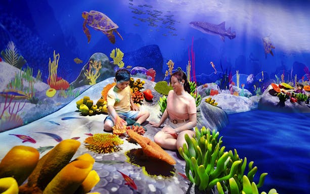 Children exploring vibrant coral reef at Curiosity Cove Wetlands Reef Retreat.