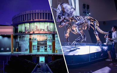 Exterior of Scienceworks Museum at night with illuminated dinosaur exhibit inside.