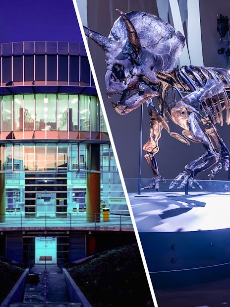 Exterior of Scienceworks Museum at night with illuminated dinosaur exhibit inside.