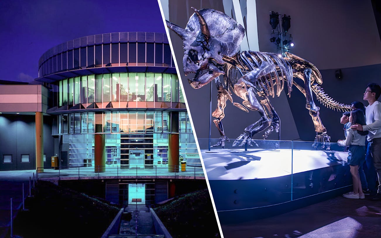 Exterior of Scienceworks Museum at night with illuminated dinosaur exhibit inside.