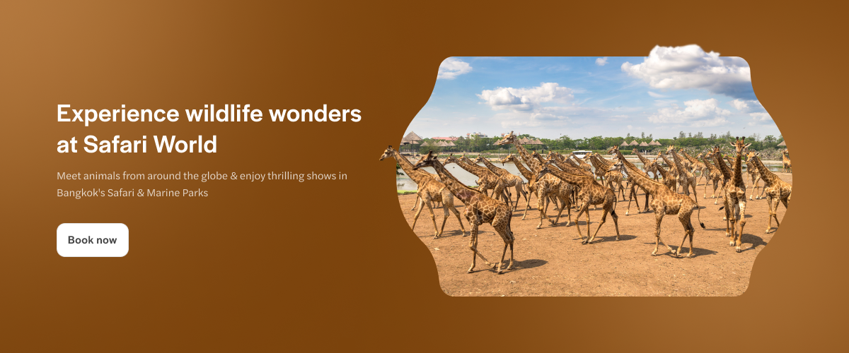 Giraffes roaming in Safari World, Bangkok, Thailand.