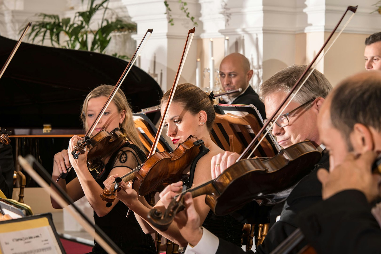 Musicians playing violins at a Mozart and Strauss concert in Kursalon Vienna.