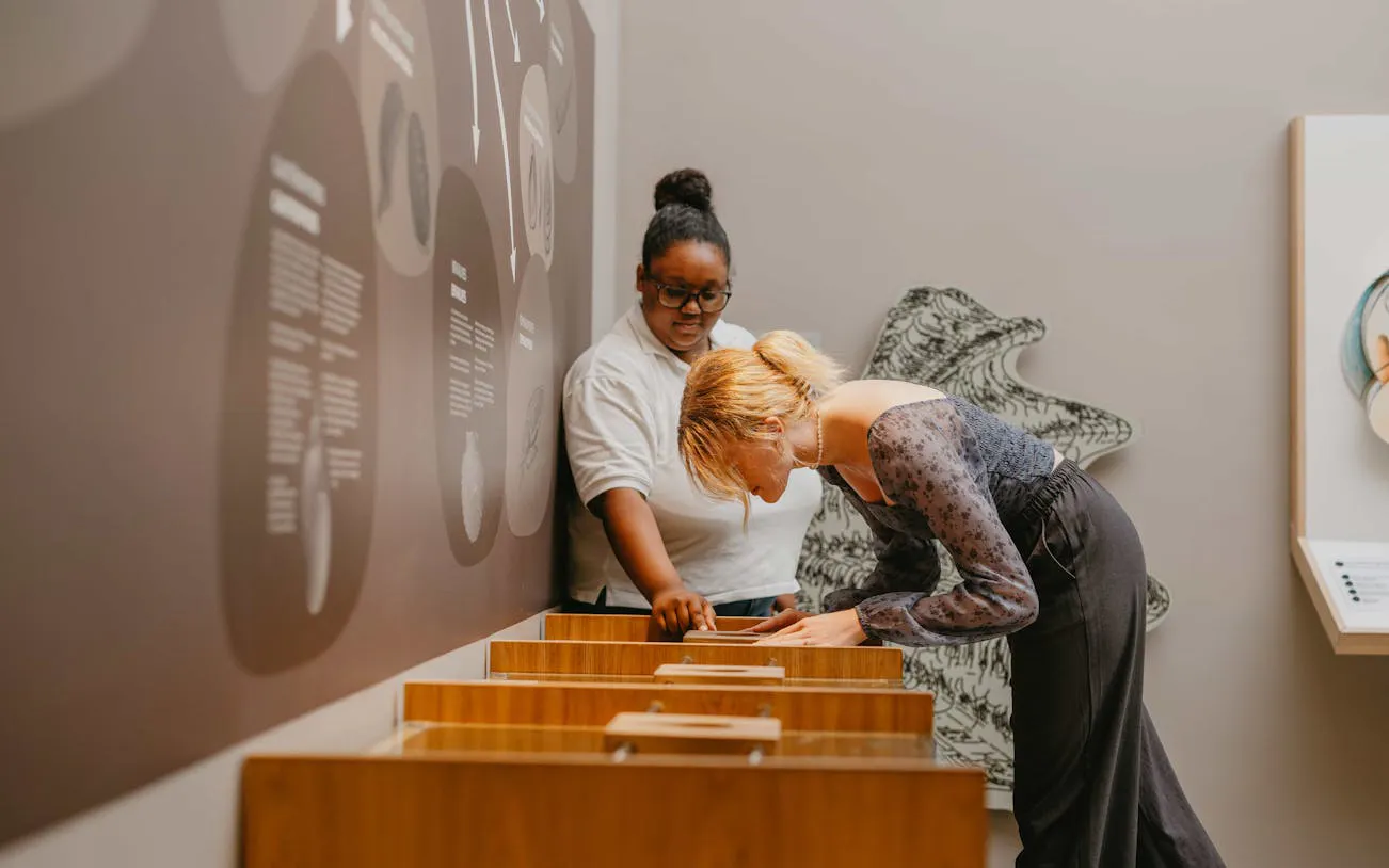 world of seashells museum ticket – access to africa’s largest seashell collection in mauritius-1