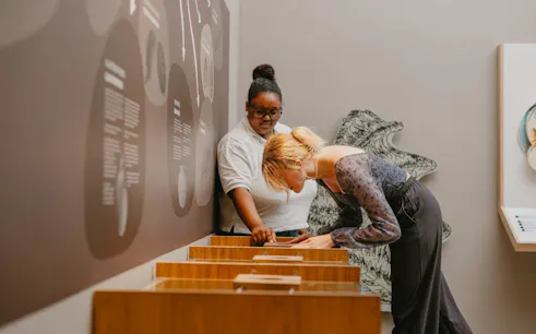 world of seashells museum ticket – access to africa’s largest seashell collection in mauritius-1