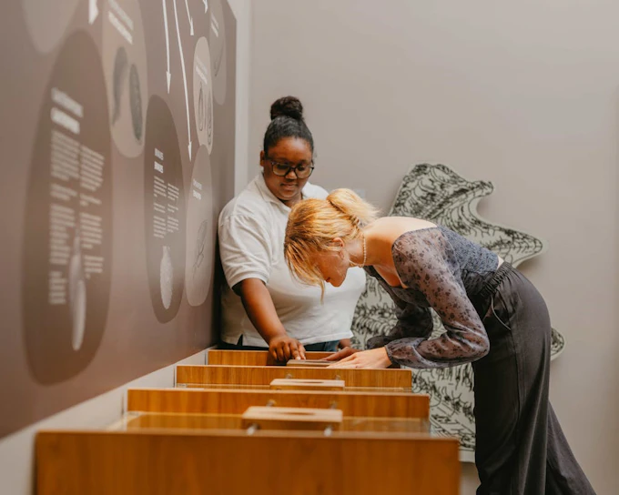 World of Seashells Museum Ticket – Access to Africa’s Largest Seashell Collection in Mauritius