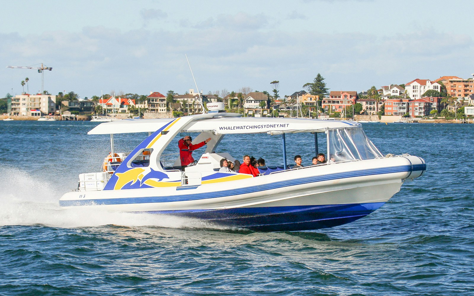 Catamaran on Sydney Harbour with tourists watching whales.