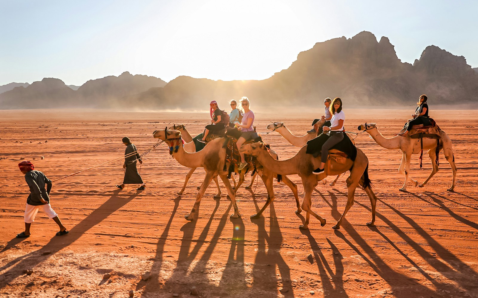 Camel ride in Palmeraie, Morocco at sunset with tourists and guides.