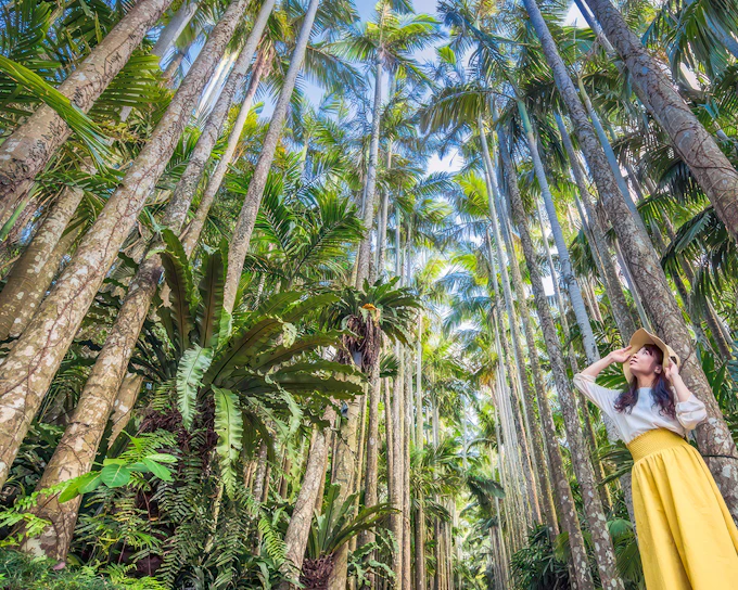 Tickets to Southeast Botanical Gardens