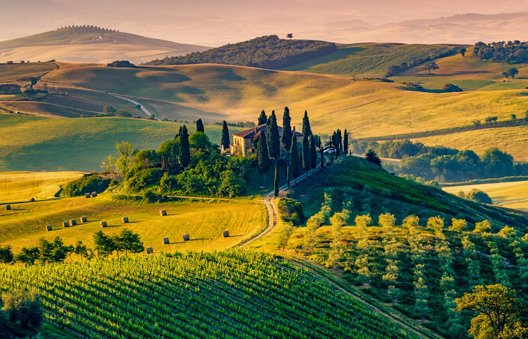 Florence to Tuscany tour with scenic vineyard and rolling hills in the background.