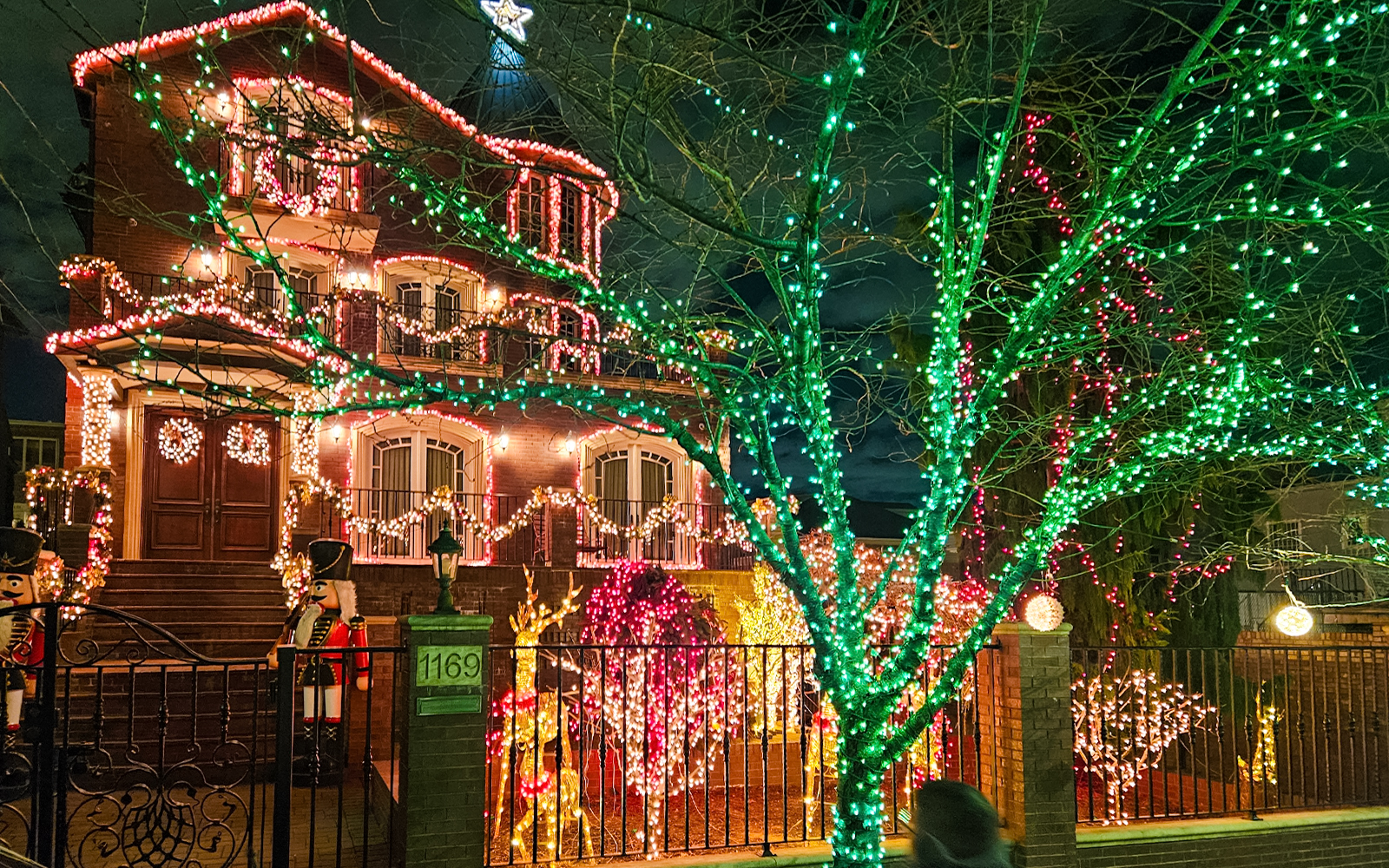 Christmas lights adorn a house and trees in Brooklyn on the New York Christmas Lights Bus Tour.