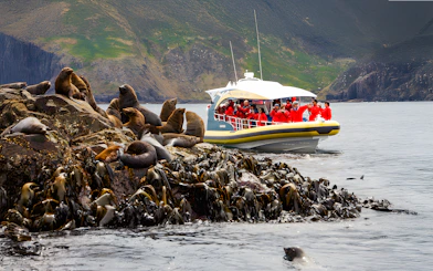 Bruny Island cruise boat near sea lions on rocky coastline, Tasmania.