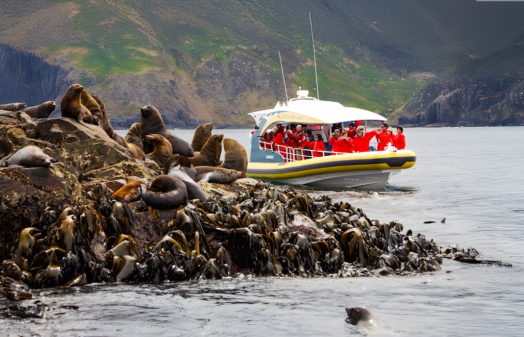 Bruny Island cruise boat navigating cliffs and sea caves along Tasmania's rugged coastline.