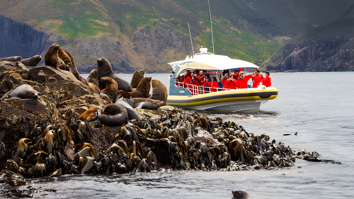 Bruny Island cruise boat navigating cliffs and sea caves along Tasmania's rugged coastline.