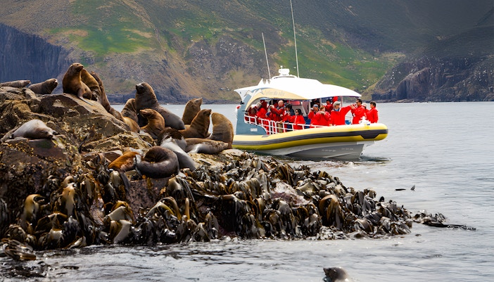 Bruny Island cruise boat navigating cliffs and sea caves along Tasmania's rugged coastline.