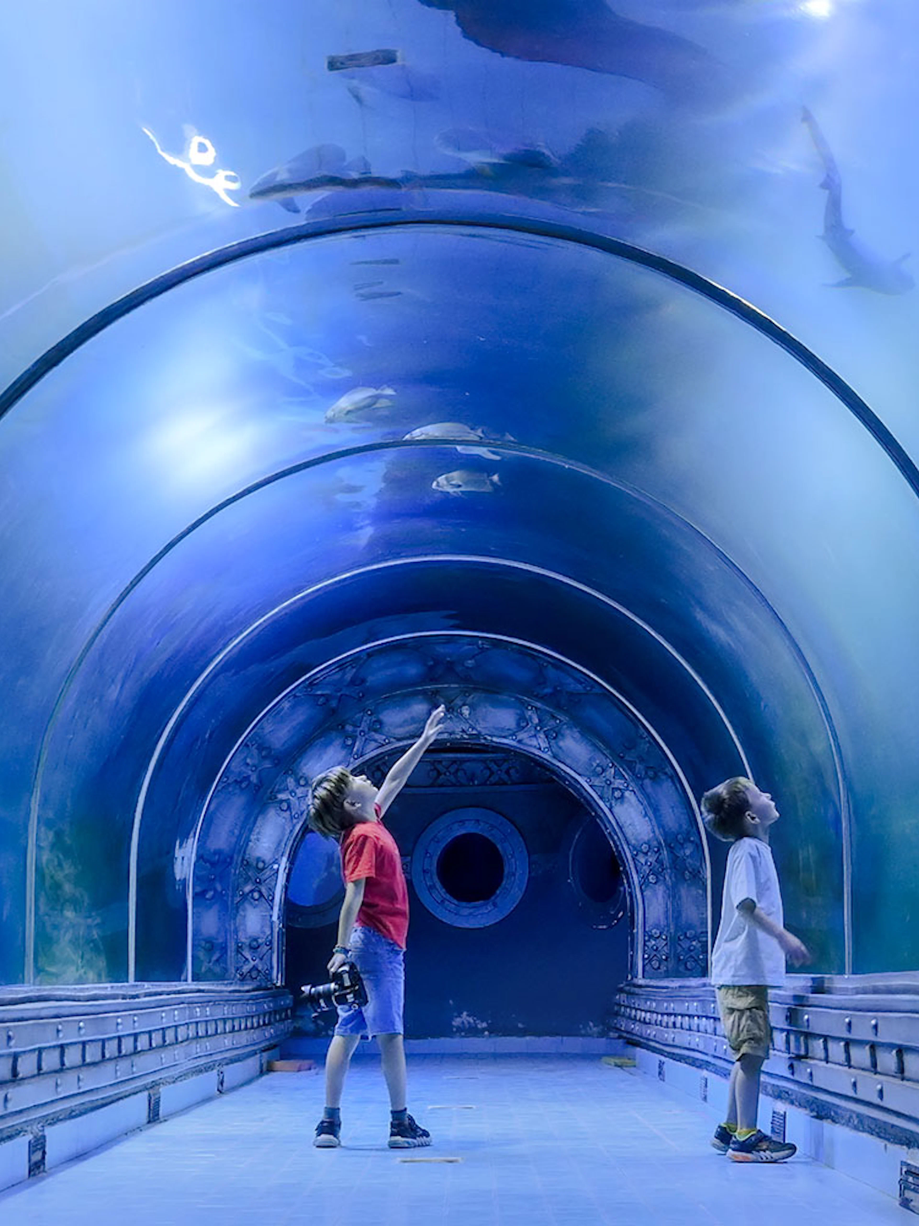 Kids exploring underwater tunnel at aquarium.
