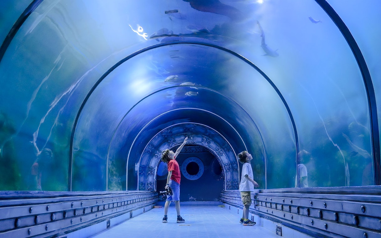 Kids exploring underwater tunnel at aquarium.