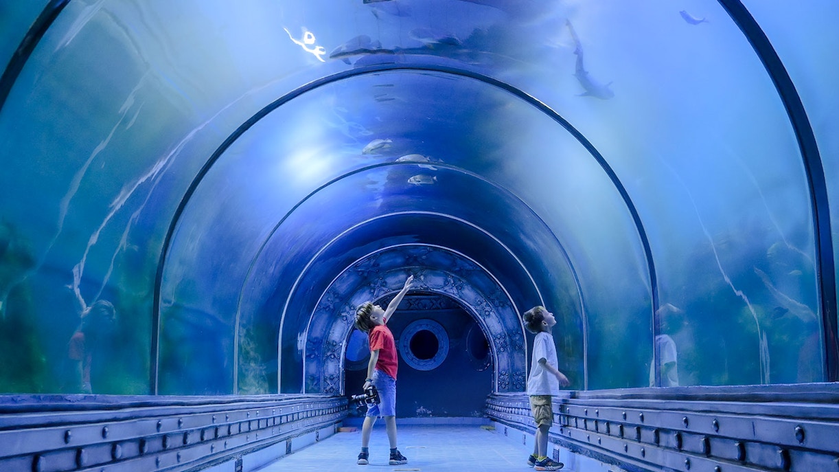 Kids exploring underwater tunnel at aquarium.