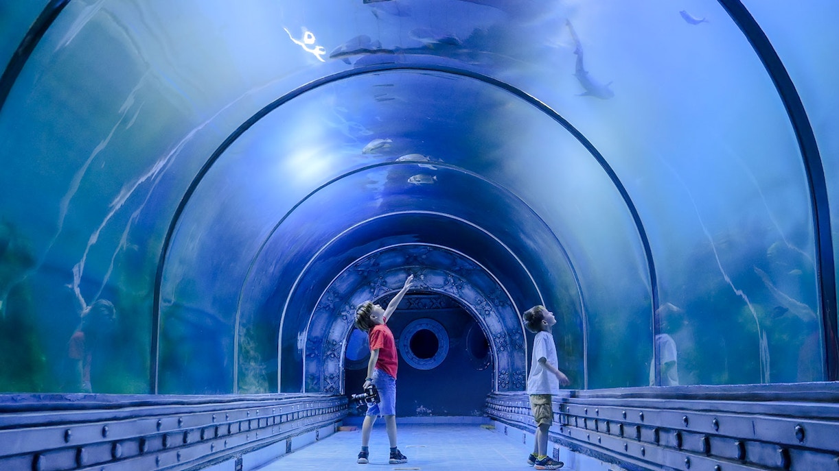 Kids exploring underwater tunnel at aquarium.