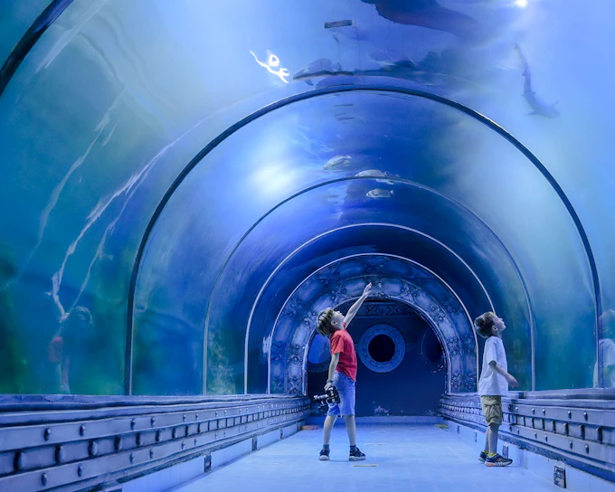 Hurghada Grand Aquarium Entry Tickets