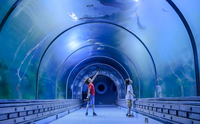Kids exploring underwater tunnel at aquarium.