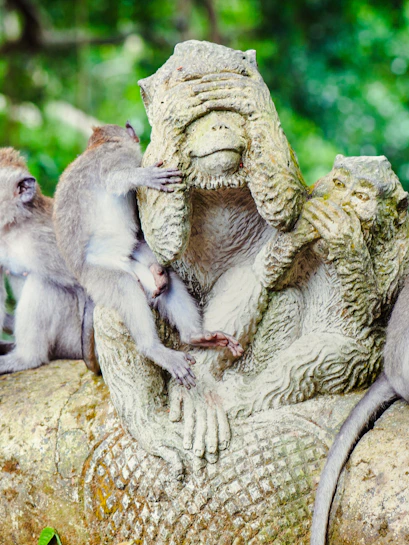 Monkeys interacting with a stone statue in Sacred Monkey Forest, Bali.