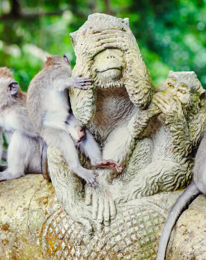 Monkeys interacting with a stone statue in Sacred Monkey Forest, Bali.