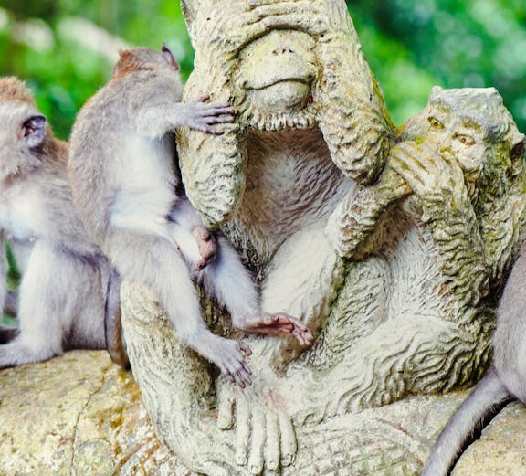 Monkeys interacting with a stone statue in Sacred Monkey Forest, Bali.