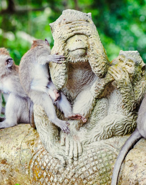 Monkeys interacting with a stone statue in Sacred Monkey Forest, Bali.