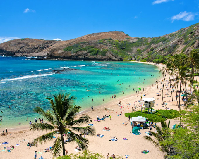 Hanauma Bay & Honolulu Zoo Combo Tickets