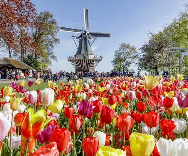 Amsterdam in May events
