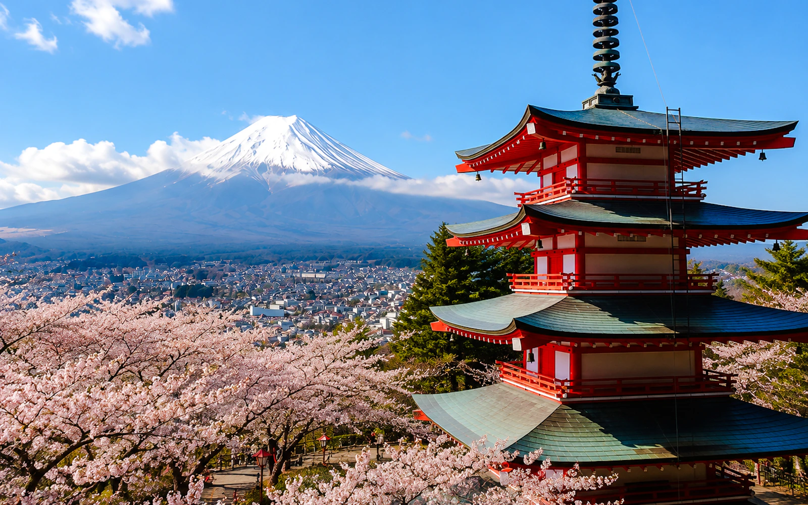 From Shimizu Port: Private Mt Fuji & Oshino Hakkai Day Trip (Product 55617)